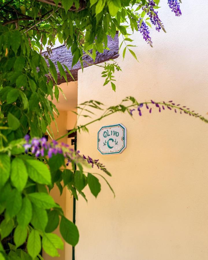 Agriturismo La Fonte Bevagna Exterior photo