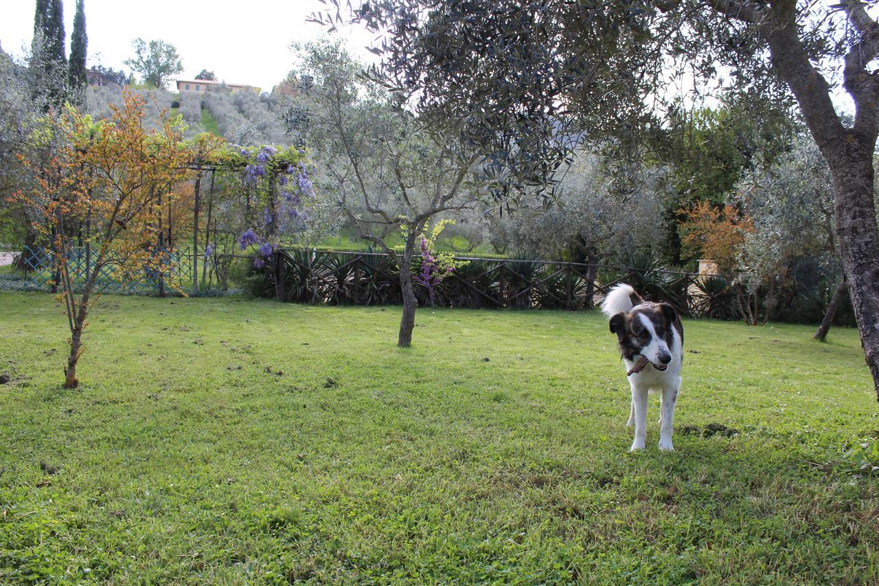 Agriturismo La Fonte Bevagna Exterior photo
